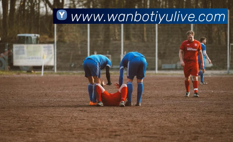 万博体育APP 封面图