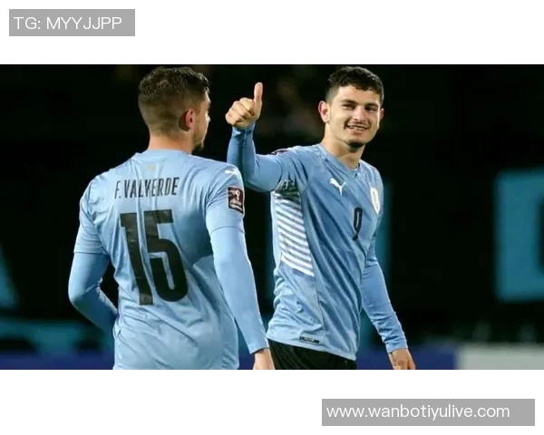 国米球探关注维罗纳右后卫贝尔加利已启动初步转会谈判