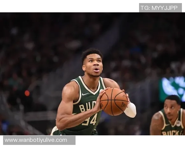 字母哥未来去向分析留队和尼克斯概率相同均为29